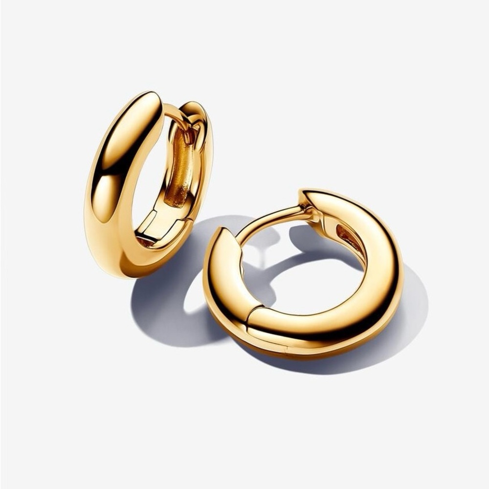 Pandora Round Hoop Earrings
